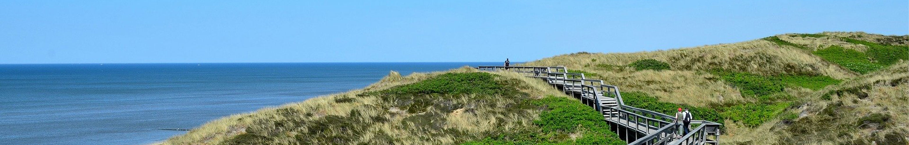 Holzsteg zum Meer