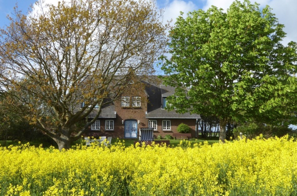 Haus gesamtansicht